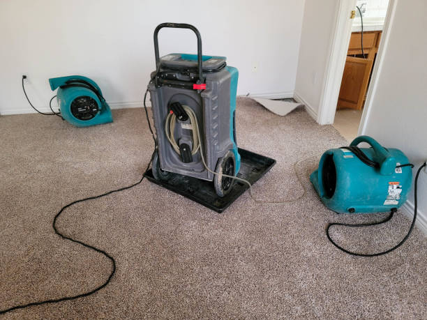 Best Water damage restoration near me  in Clarkesville, GA
