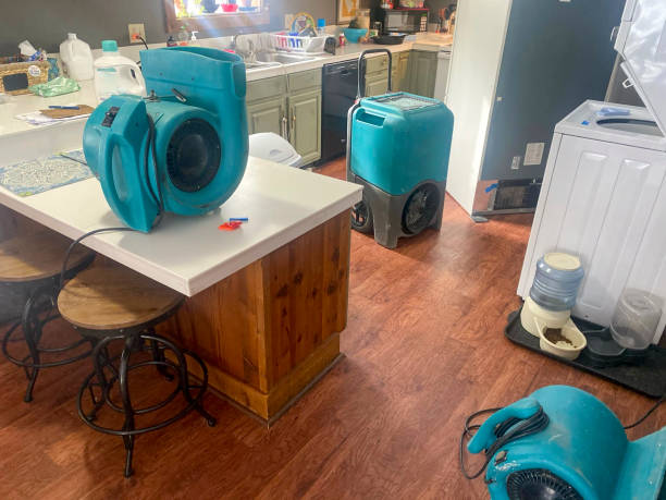 Best Emergency water damage restoration  in Clarkesville, GA