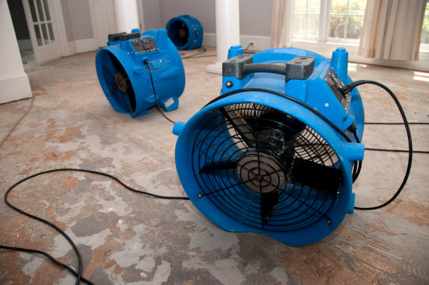 Best Fire Damage Restoration  in Clarkesville, GA