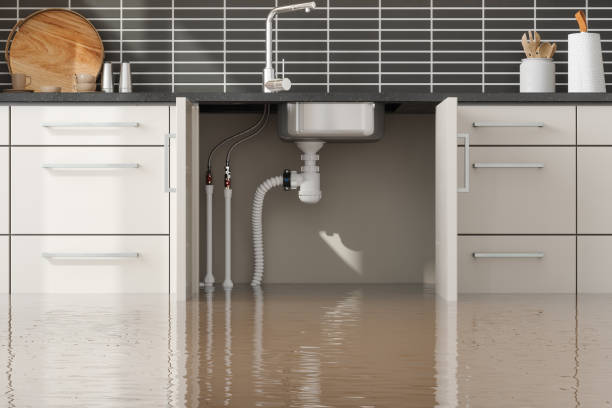 Best Residential water damage restoration  in Clarkesville, GA